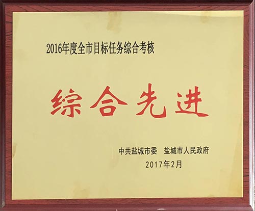 2016年2月全市目標(biāo)任務(wù)綜合考核綜合先進.JPG